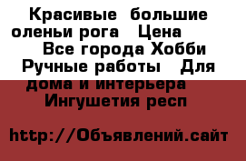 Красивые  большие оленьи рога › Цена ­ 3 000 - Все города Хобби. Ручные работы » Для дома и интерьера   . Ингушетия респ.